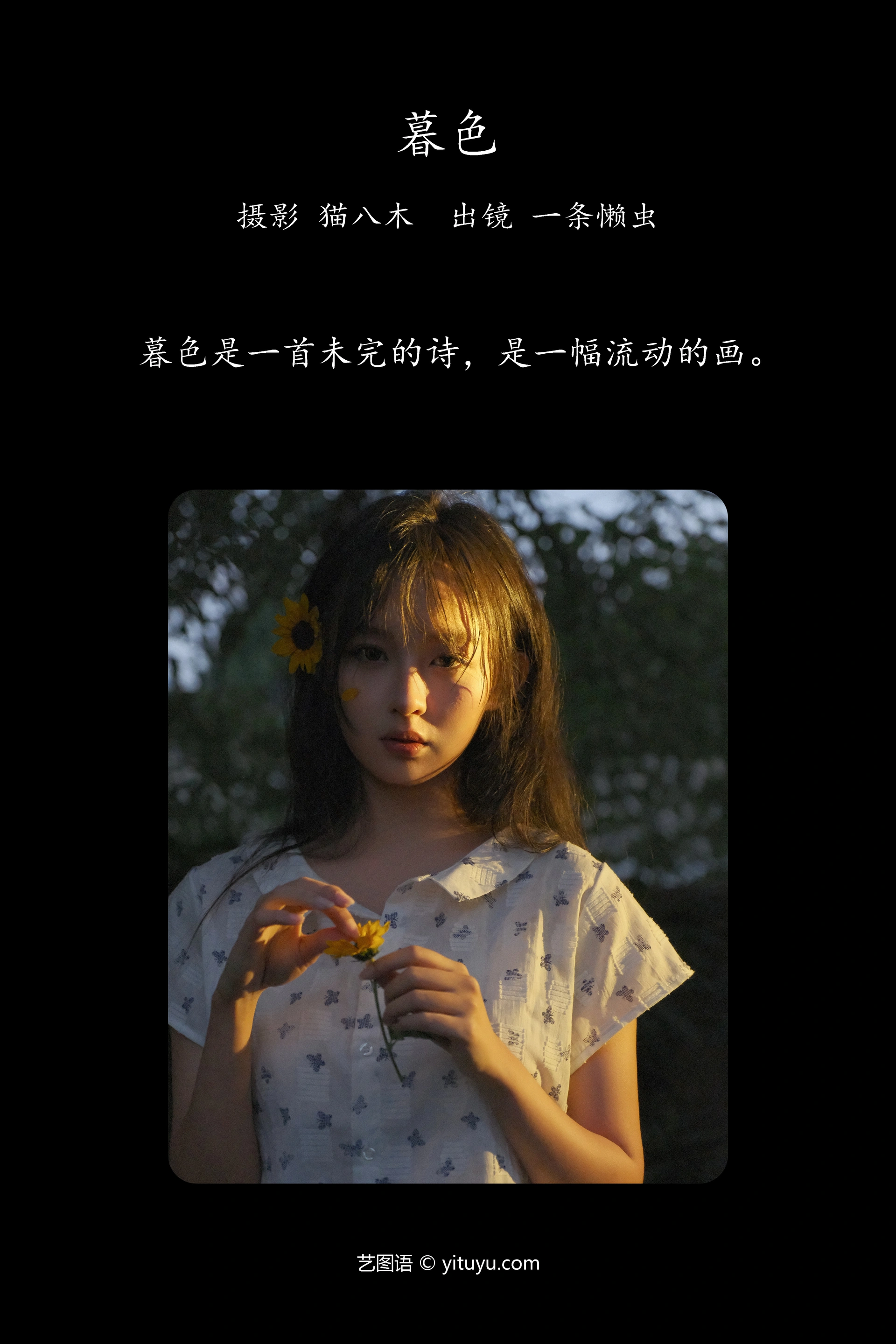 [YITUYU艺图语]2023.11.03 暮色 一条懒虫 1